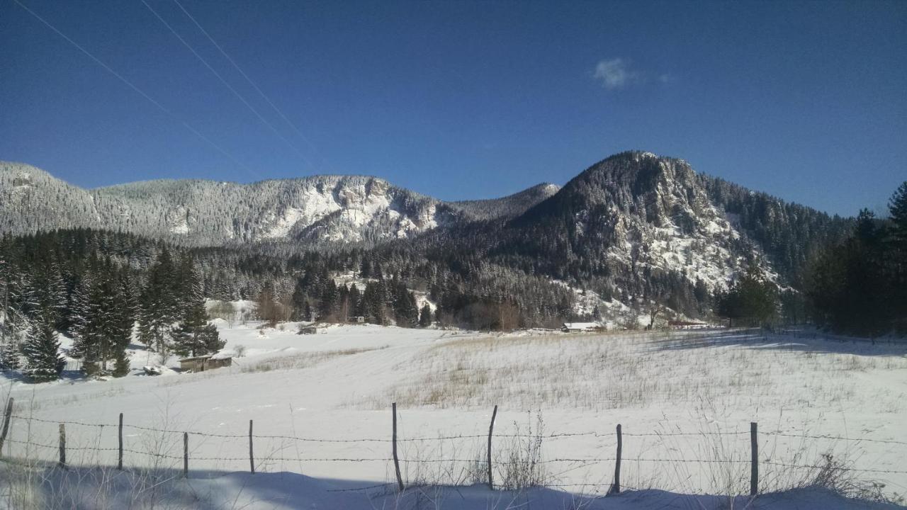 Family Apartment "Cosy Nature" Smolyan Eksteriør billede